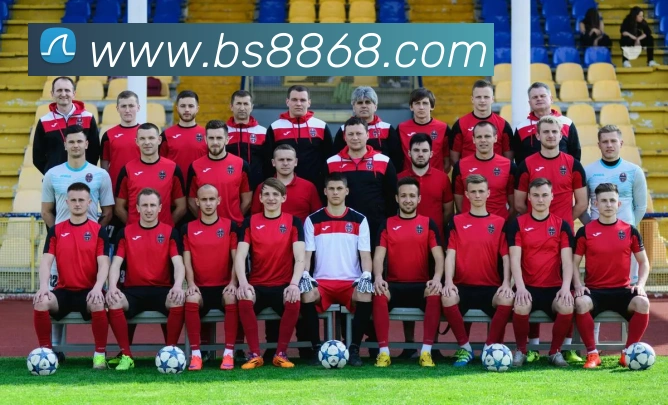 百胜彩票官网平台登录入口服务体系